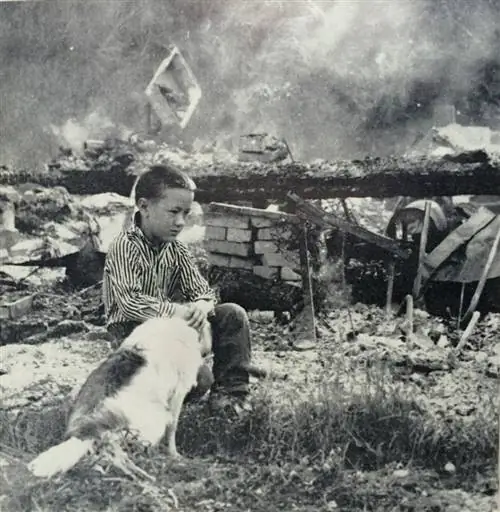 последствия поджога-1962