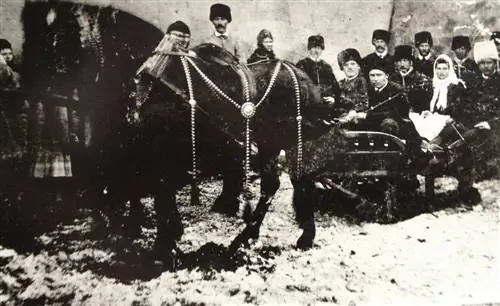Беженцы, пацифисты, террористы, граждане