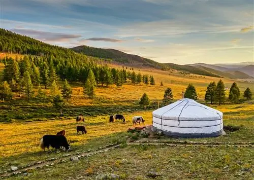Пребывание в семье кочевников - лучший способ увидеть Монголию