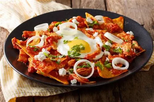 Мексиканские начос с томатной сальсой, курицей и яйцом крупным планом на тарелке