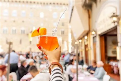 Коктейль Aperol spritz, украшенный апельсином и клубникой