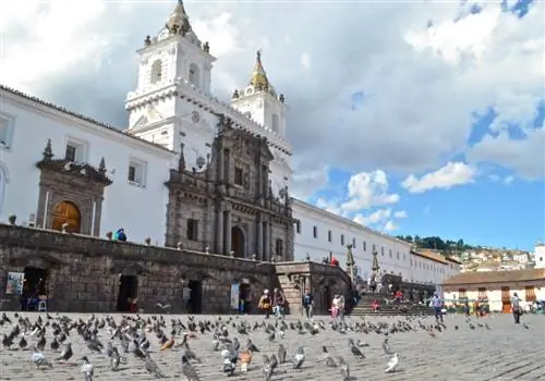 Через TravelStoke