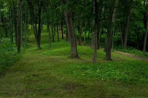 Национальный памятник Effigy Mounds