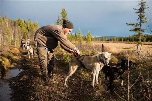 Изображение Изображение