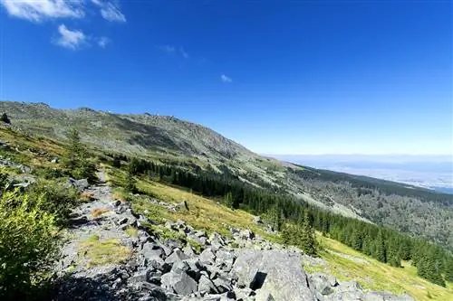 Гора Витоша недалеко от Софии, Болгария