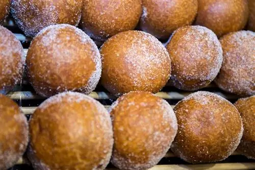 Пончики из красной фасоли из японии, посыпанные сахаром