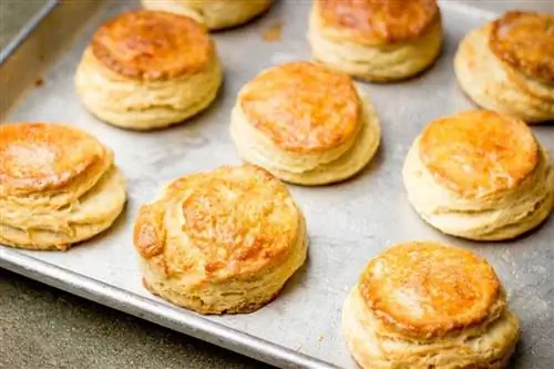 Печенье из The Biscuit Man, Чикаго