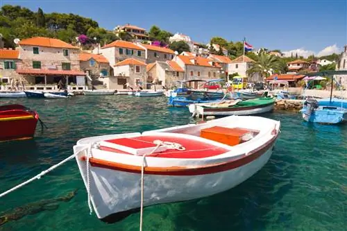 Маслиница, остров Шолта, Хорватия