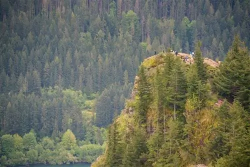 Прекрасный вид с вершины горы на туристов на скале