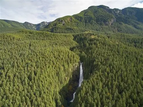 Золотой слиток Wallace Falls Washington State Park