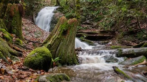 Тропа Коал-Крик-Фолс