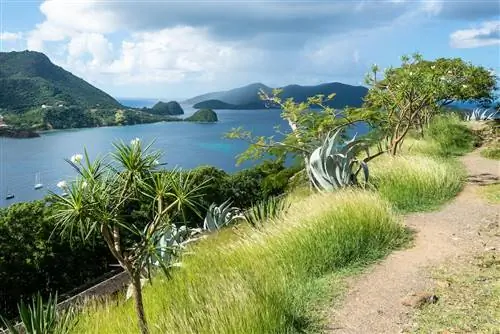 Живописный вид на Гваделупу