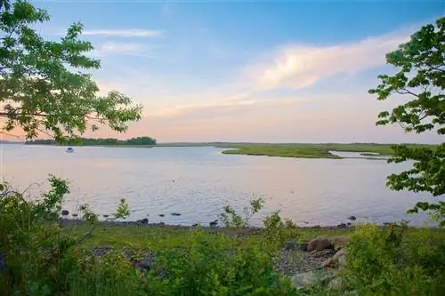 Вид на океан