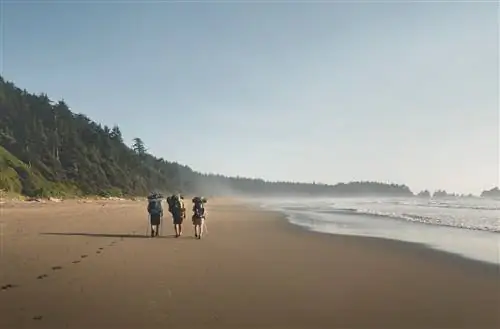 Лучшие национальные парки для посещения этой весной