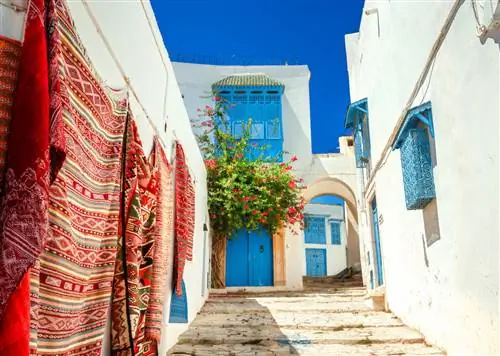 Почему Тунис должен стать вашей первой остановкой в арабском мире