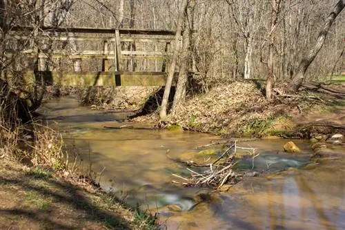 Пантер-Крик в государственном парке Пантер-Крик в Морристауне, Теннесси