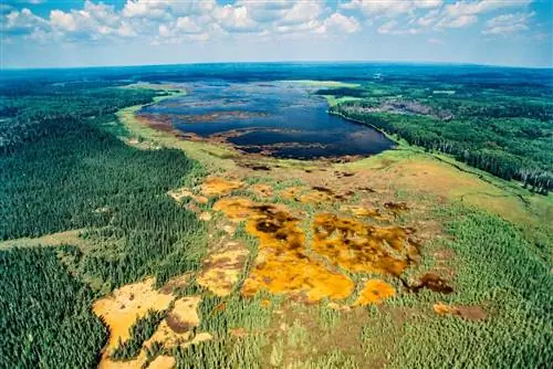 Вид с воздуха Национальный парк Райдинг-Маунтин Манитоба, Канада