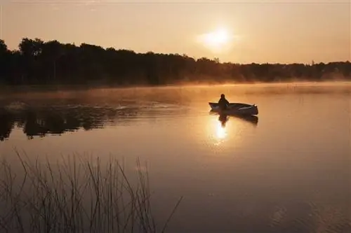 Twin Rivers Travel Манитоба, Канада