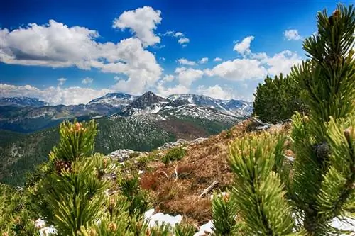 Весна в горах между Черногорией и Косово