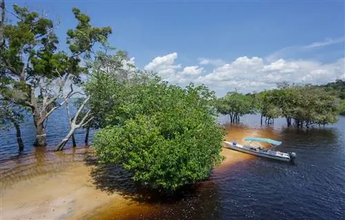 Ново-Айрао в Бразилии - идеальные ворота в далекие приключения на Амазонке
