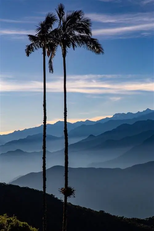 KL_Сьерра-Невада-де-Санта-Марта Колумбия