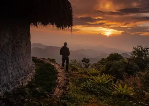 Колумбия может быть лучшим местом в мире для наблюдения за птицами. Вот почему