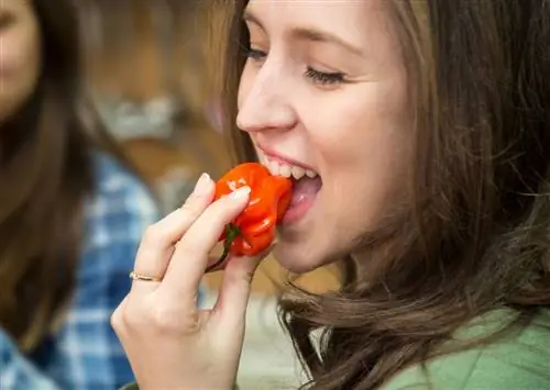 22 самых острых перца в мире (и где их есть)