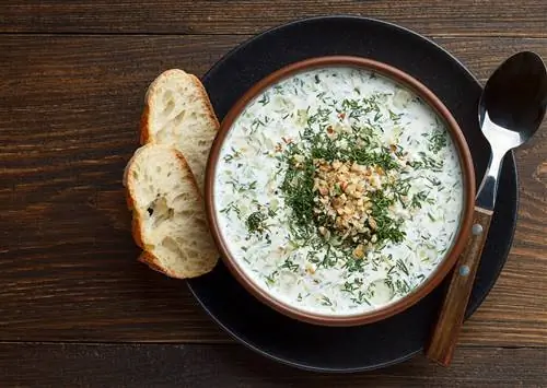 5 блюд, которые доказывают, что болгарский йогурт - лучший йогурт