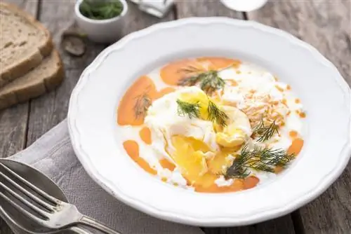 Яйца Панагюрище Стиль