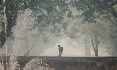 Что нужно знать о сезоне дыма в северном Таиланде