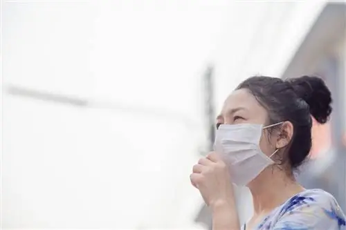 Люди в масках из-за мелкой пыли в таиланде