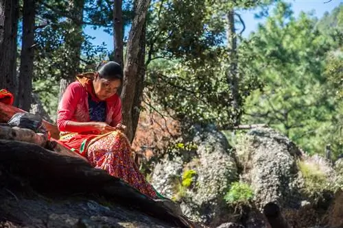 Путешествие на поезде по Мексике: как это спланировать