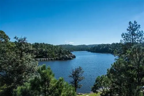 Путешествие на поезде по Мексике: как это спланировать