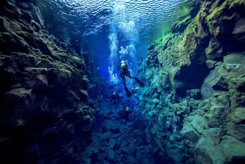 дайвер в спортивном костюме во время ныряния в разломе Сильфра