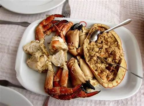 Традиционное португальское блюдо из морепродуктов коричневый краб