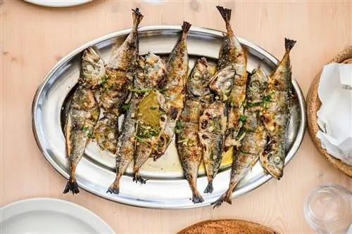 Серебряный поднос, полный вкусной скумбрии, известной как Карапау в Португалии