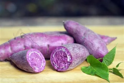убе, фиолетовый сладкий картофель на деревянном фоне