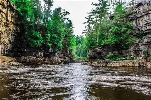 Ущелье Ausable Chasm Adirondack