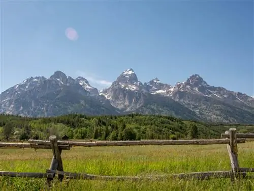 Активисты-экологи только что спасли огромный участок общественных земель