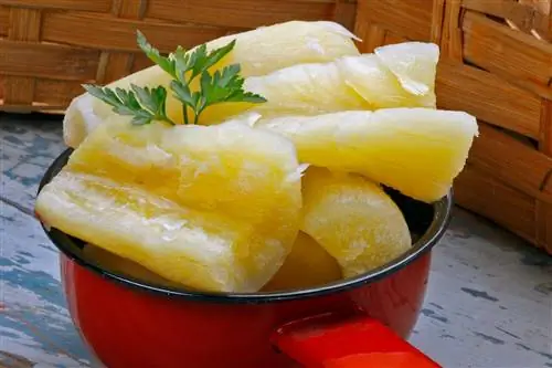 Юка кубинская еда