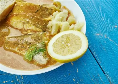 Карри по всему миру Карри Карри Фиш