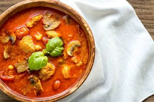 Карри со всего мира Тайское красное куриное карри