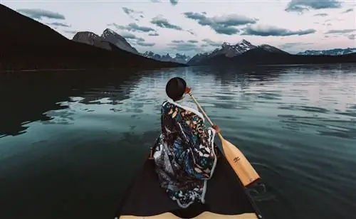 Моменты из Канады