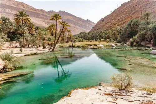 Эти впечатляющие фотографии Омана вызовут у вас желание отправиться в путешествие прямо сейчас