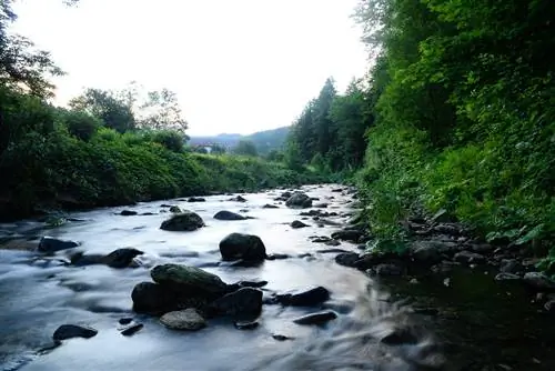 Вы захотите продлить свое пребывание в Чехии: вот почему