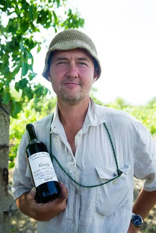 Вы захотите продлить свое пребывание в Чехии: вот почему