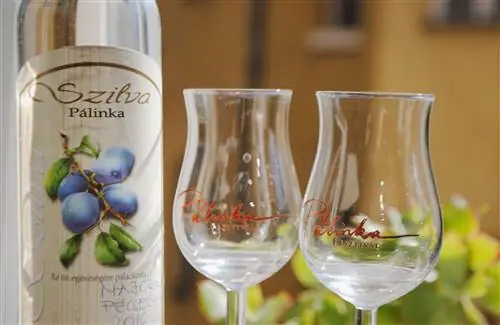 Венгрия - напиток - палинка