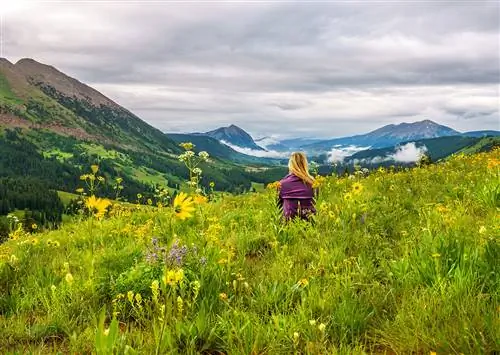 12 изображений, которые демонстрируют, почему Хохлатый Бьютт является столицей полевых цветов в Колорадо