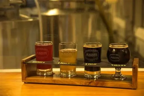 Вот 9 вещей, которые нужно сделать в Джуно, Аляска.