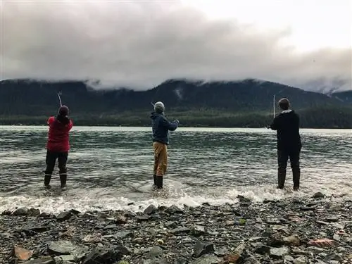 Вот 9 вещей, которые нужно сделать в Джуно, Аляска.